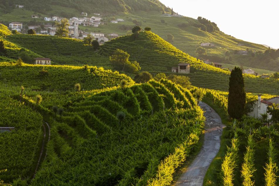 Villa Fior Di Robinia Giavera del Montello エクステリア 写真